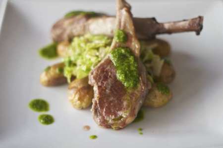 Healthy, Organic Lamb - Private