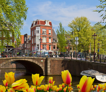Canal Ring
