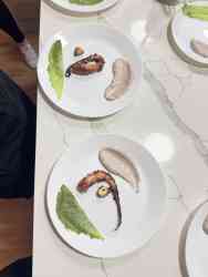Homemade Rustic Breads For Autumn Gatherings Review Photo from Cooking Class in Scottsdale 2