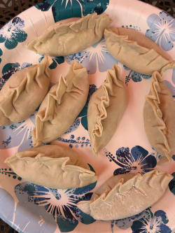 Craft Japanese Gyoza With Chef Darren Review Photo from Cooking Class in Los Angeles 2 3