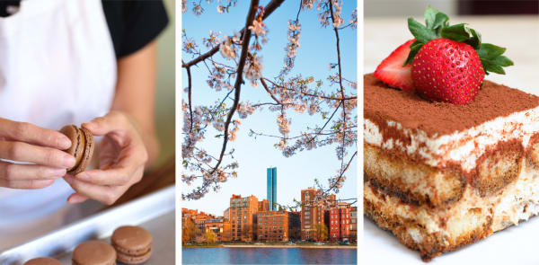 View the collection of Baking cooking classes in Boston, MA