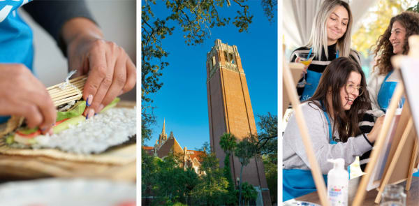 View the collection of classes in Gainesville, FL