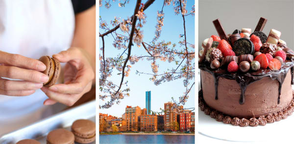View the collection of Holiday cooking classes in Boston, MA