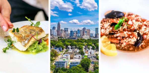 View the collection of Mediterranean cooking classes in Charlotte, NC