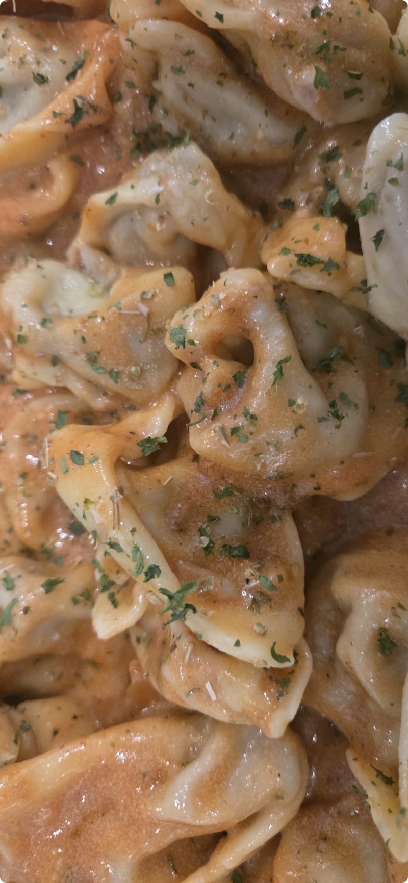 Make Italian Pasta From Scratch With Chef Roger Review Photo from Cooking Class in Houston 15