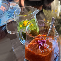 Handcrafted Italian Meal Review Photo from Cooking Class in Sacramento 18
