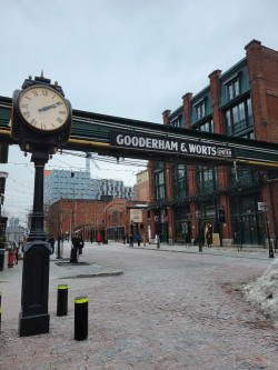 Cozy French Dinner - Date Night Review Photo from Cooking Class in Seattle 9