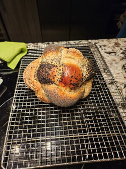 Artisan Bread Bakes Review Photo from Cooking Class in Scottsdale 5