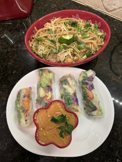 Thai Favorites Made Vegan Review Photo from Online Cooking Class 4