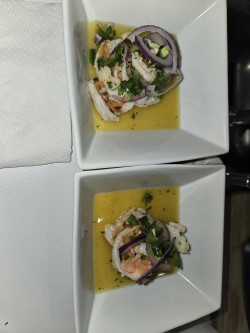 A Culinary Journey to Peru Review Photo from Cooking Class in Tampa