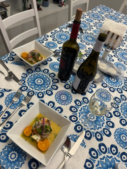 A Culinary Journey to Peru Review Photo from Cooking Class in Tampa 2