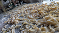 Pasta and Marinara From Scratch Review Photo from Cooking Class in Calgary 5