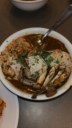 Authentic Creole Gumbo Review Photo from Cooking Class in New Orleans