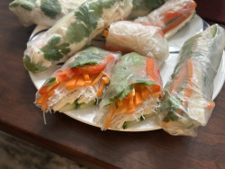 Plant-Based Thai Delights Review Photo from Cooking Class in Boulder 5