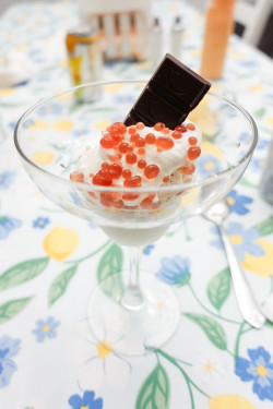 Dinner With &#039;The Bear&#039; Review Photo from Cooking Class in Tampa 8