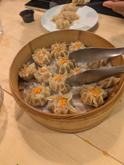 A Delectable Dim Sum Feast Review Photo from Cooking Class in Chicago