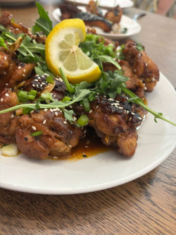 Vibrant Latin Fare Review Photo from Cooking Class in Dallas 2