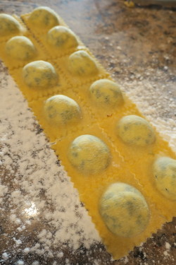 Preparing Ravioli From Scratch Review Photo from Cooking Class in San Diego 16
