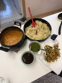 Shahi Paneer With Indian Favorites Review Photo from Cooking Class in Toronto