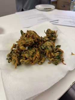 Shahi Paneer With Indian Favorites Review Photo from Cooking Class in Toronto 2