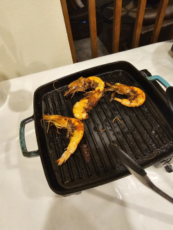 Mediterranean Culinary Traditions Review Photo from Cooking Class in Seattle 2