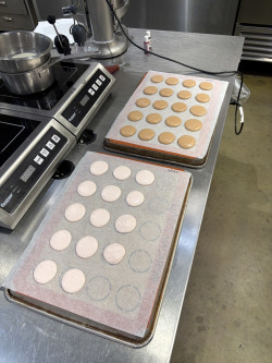 Imaginative Macarons Review Photo from Cooking Class in Salt Lake City