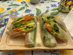 Fabulous Vegan Fare Review Photo from Cooking Class in Tampa 3