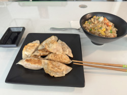 Perfect Handcrafted Potstickers Review Photo from Cooking Class in Minneapolis 13