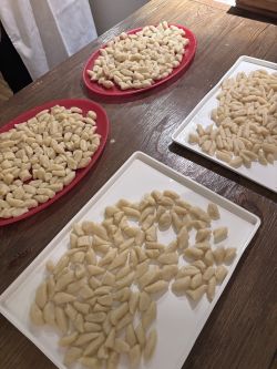 Succulent Handmade Gnocchi Review Photo from Cooking Class in Los Angeles 16