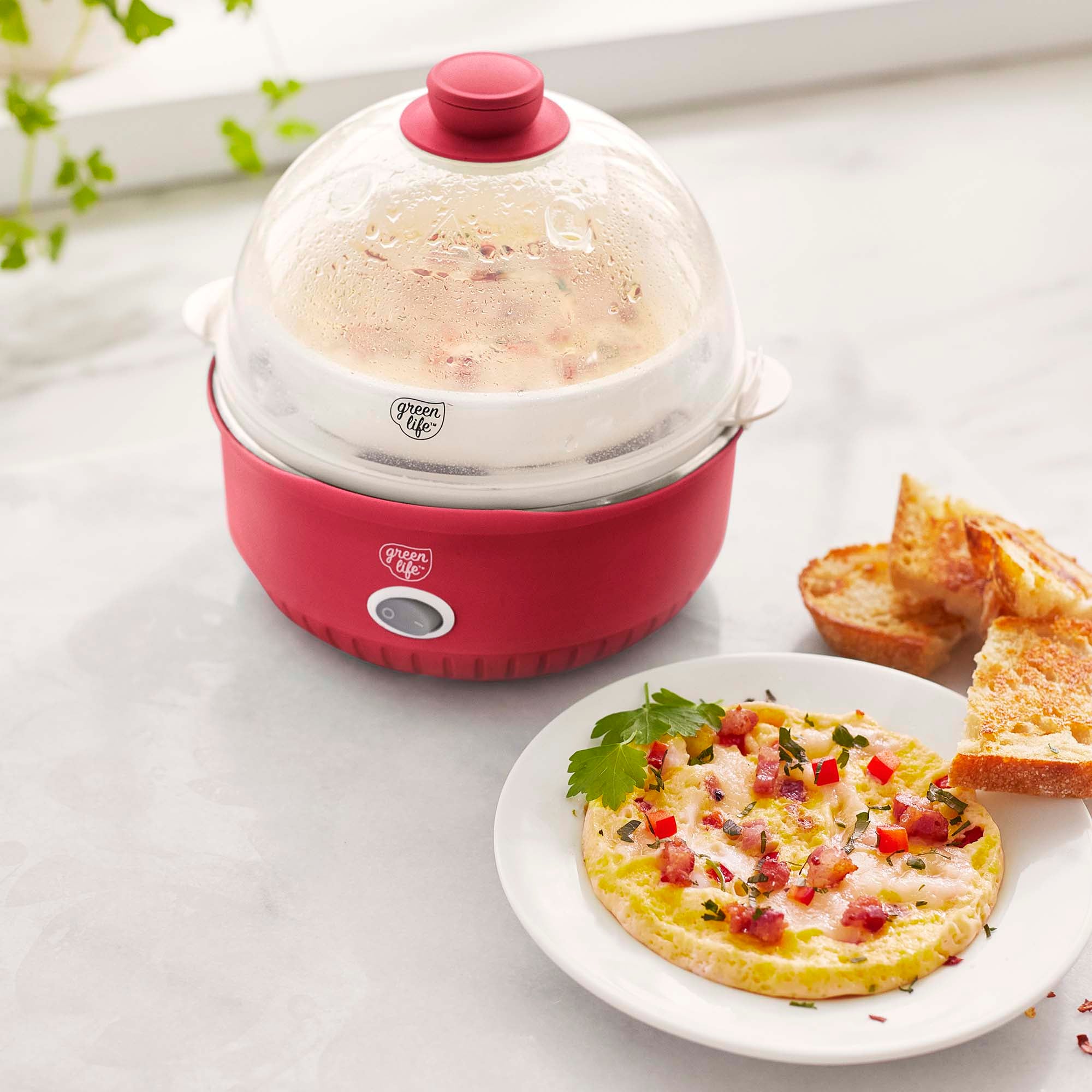 GreenLife Electrics Rice Cooker & Reviews