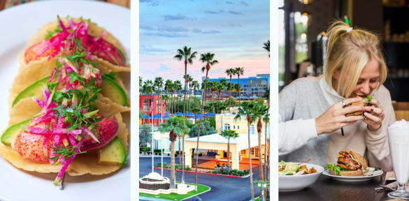 See our selection of food tours in Chandler, AZ