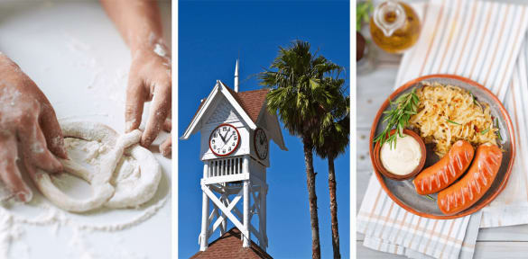 See our selection of German cooking classes in Brandon, FL