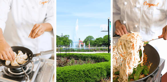 See our selection of Chinese cooking classes in Brookfield, IL