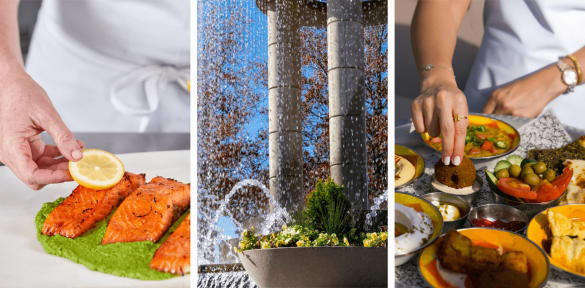 See our selection of Mediterranean cooking classes in Cary, NC