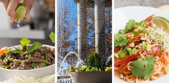 See our selection of Thai cooking classes in Cary, NC