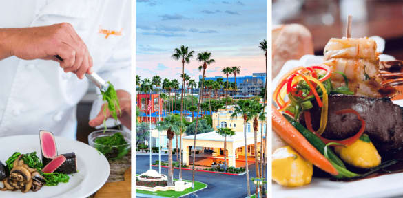 See our selection of Fusion cooking classes in Chandler, AZ