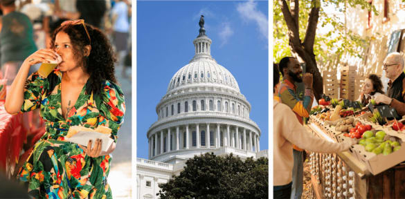 See our selection of Market Tours classes in Washington