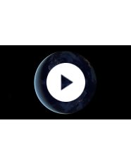 Volodymyr Gorobets Review