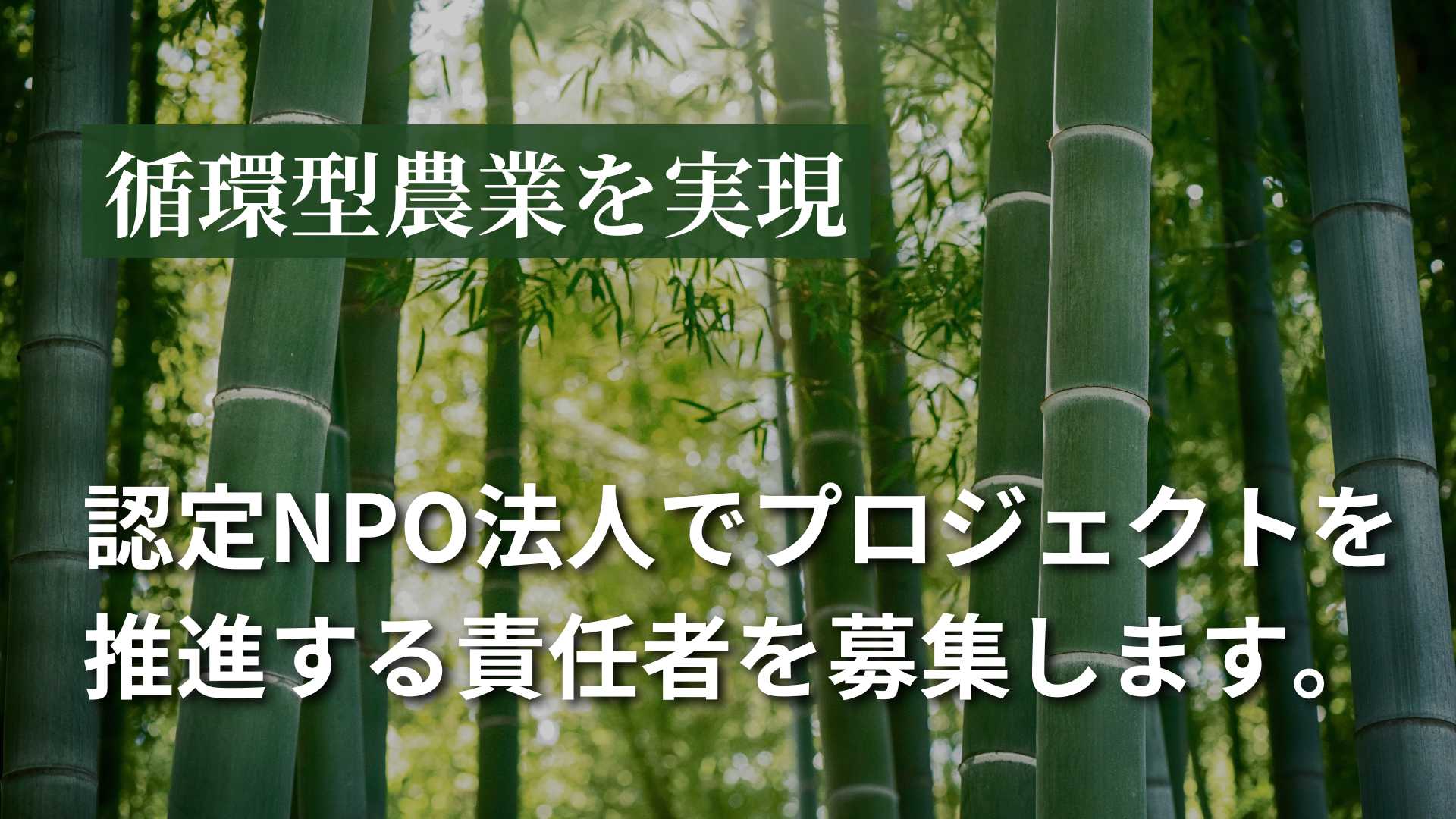 company