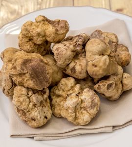 White-Truffle.jpg White-Truffle.jpg