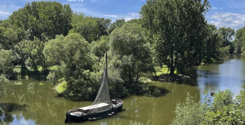 GettyImages-1418221332 (1).jpg