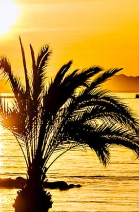 Almería final (1) (1).jpg