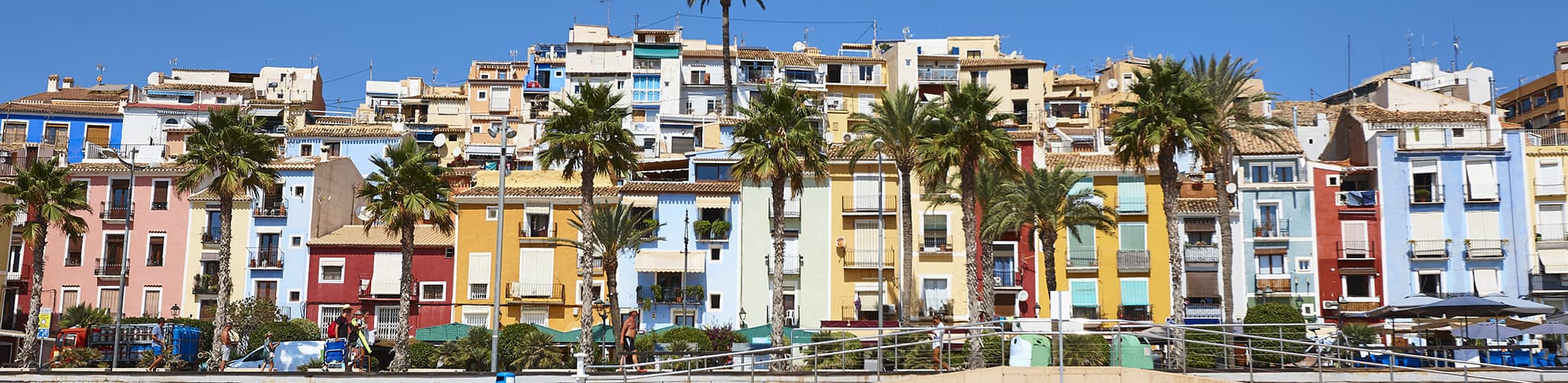 Alicante fin.jpg Alicante fin.jpg