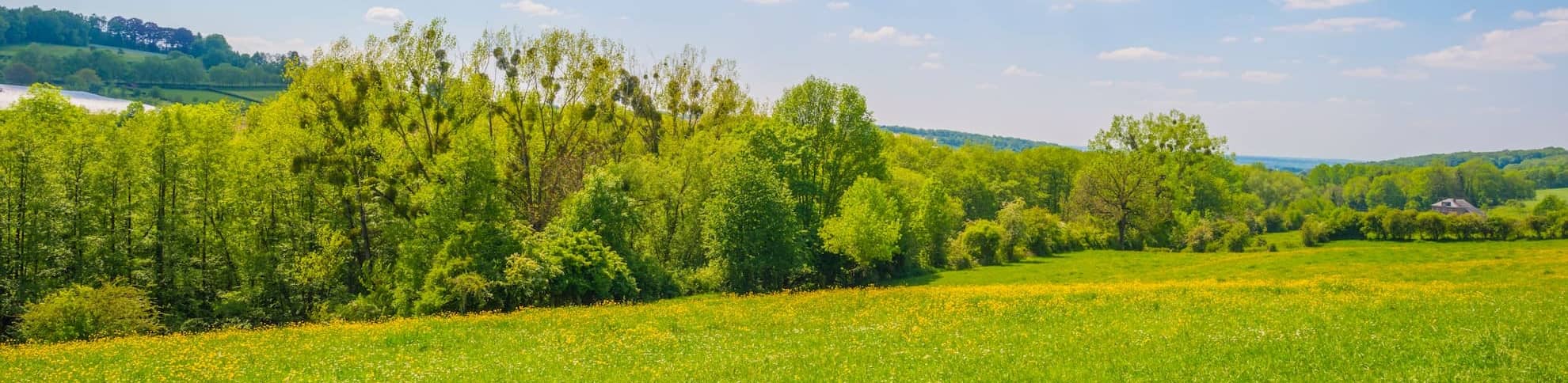 Saint-Avold.jpg Saint-Avold.jpg