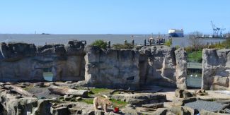 Zoo am Meer Zoo am Meer