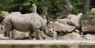 Adventure Zoo Hannover Adventure Zoo Hannover