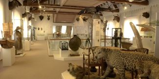 Museum im Ritterhaus Museum im Ritterhaus