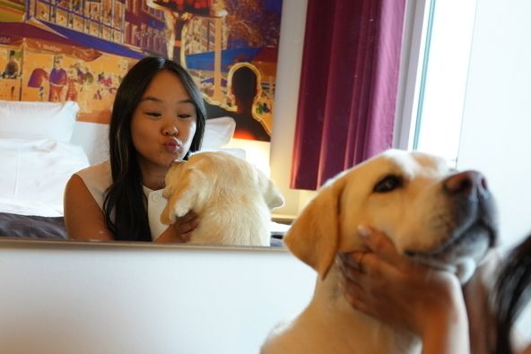 Hund Widget Visual- Image Kampagne 2025|B&B HOTELS