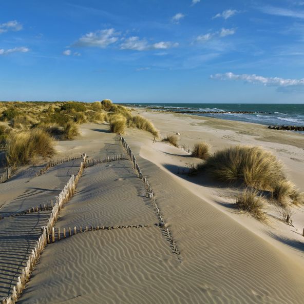 Nos hotels proches de la Camargue en Occitanie.jpg