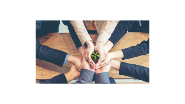 sustainable partners